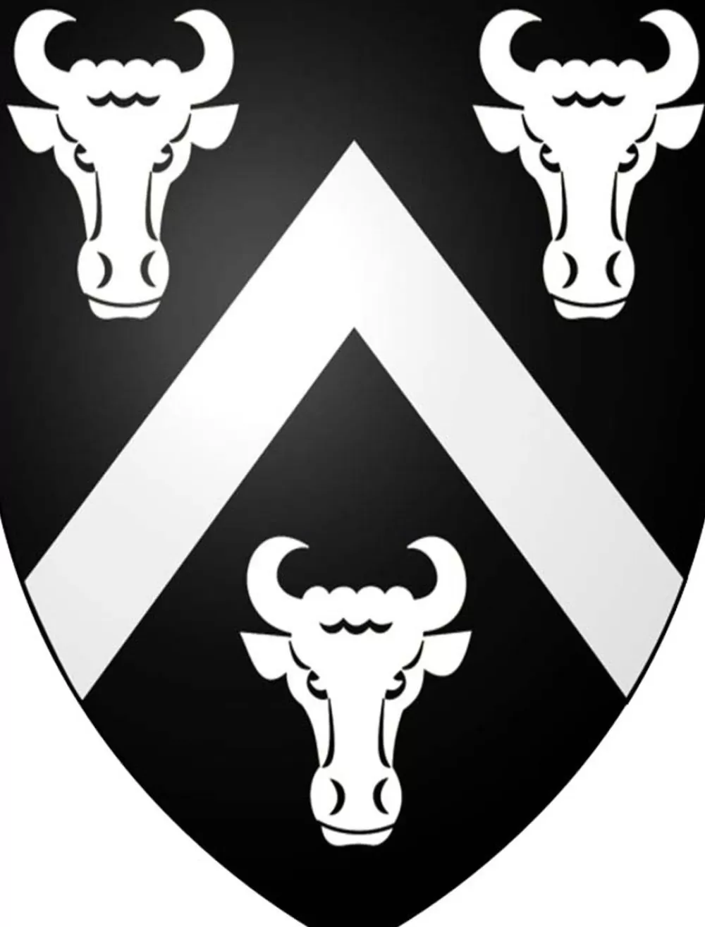 buckley_knitting_kit_5-1.webp Clearance Buckley Knitting Kit Clan Knitting Patterns And Kits